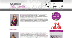 Desktop Screenshot of chatteriefelininsolite.com